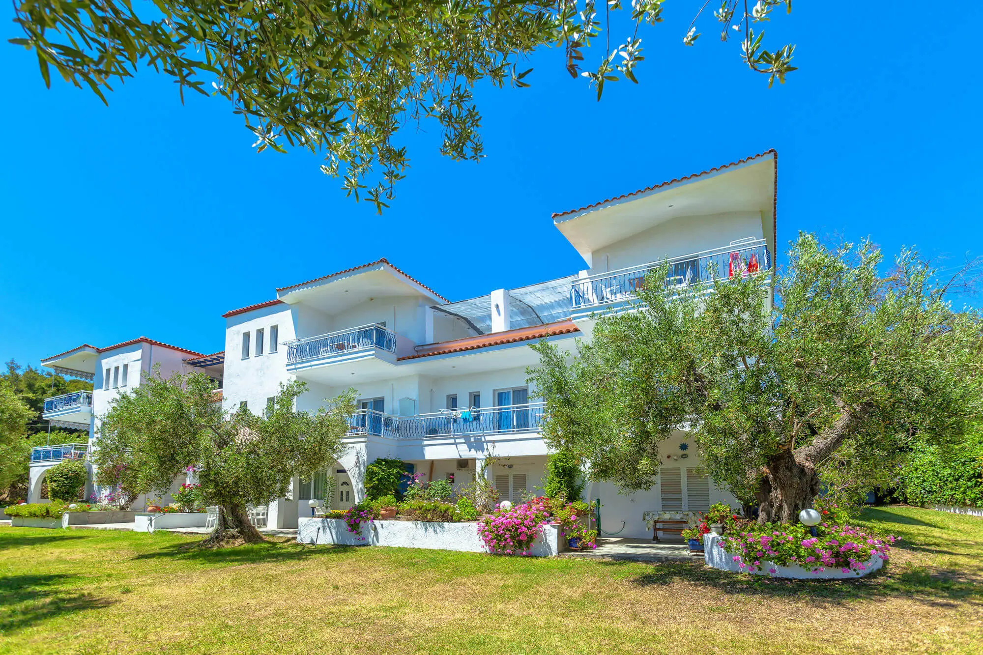 Белите сгради с балкони и маслинови дървета на моравата – Xenios Faros Apartments, Касандра