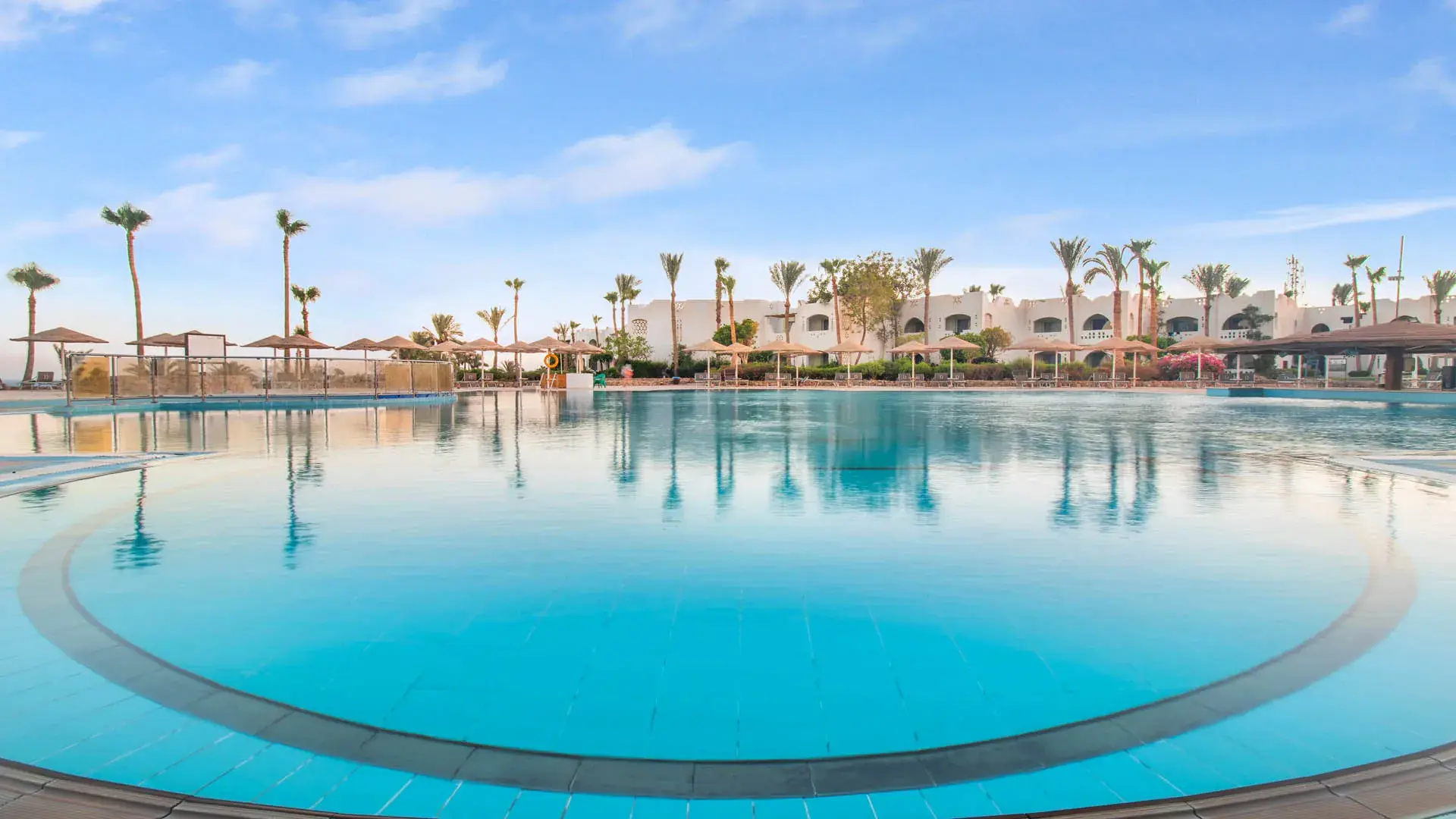 Басейн 55 на Oasis и Aquamarine с палми и бели сгради сутрин – Domina Coral Bay Oasis, Шарм Ел Шейх