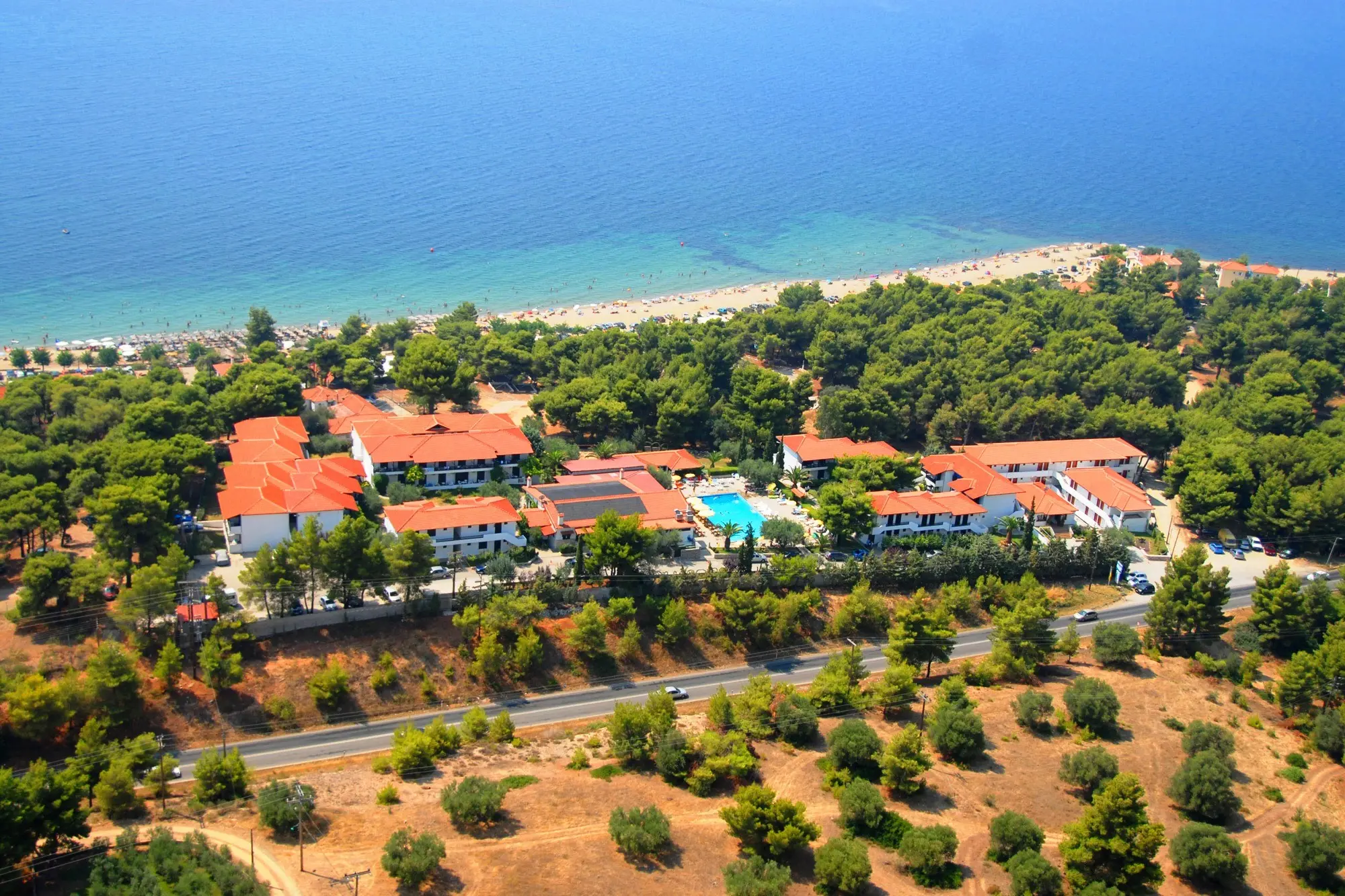 Хотелът сред боровете и плажът от въздуха – Philoxenia Hotel, Ситония